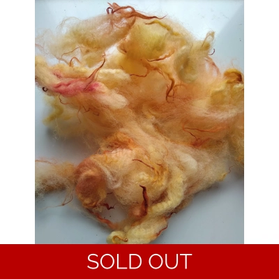yellow orange and red perendale wool and locks 10g